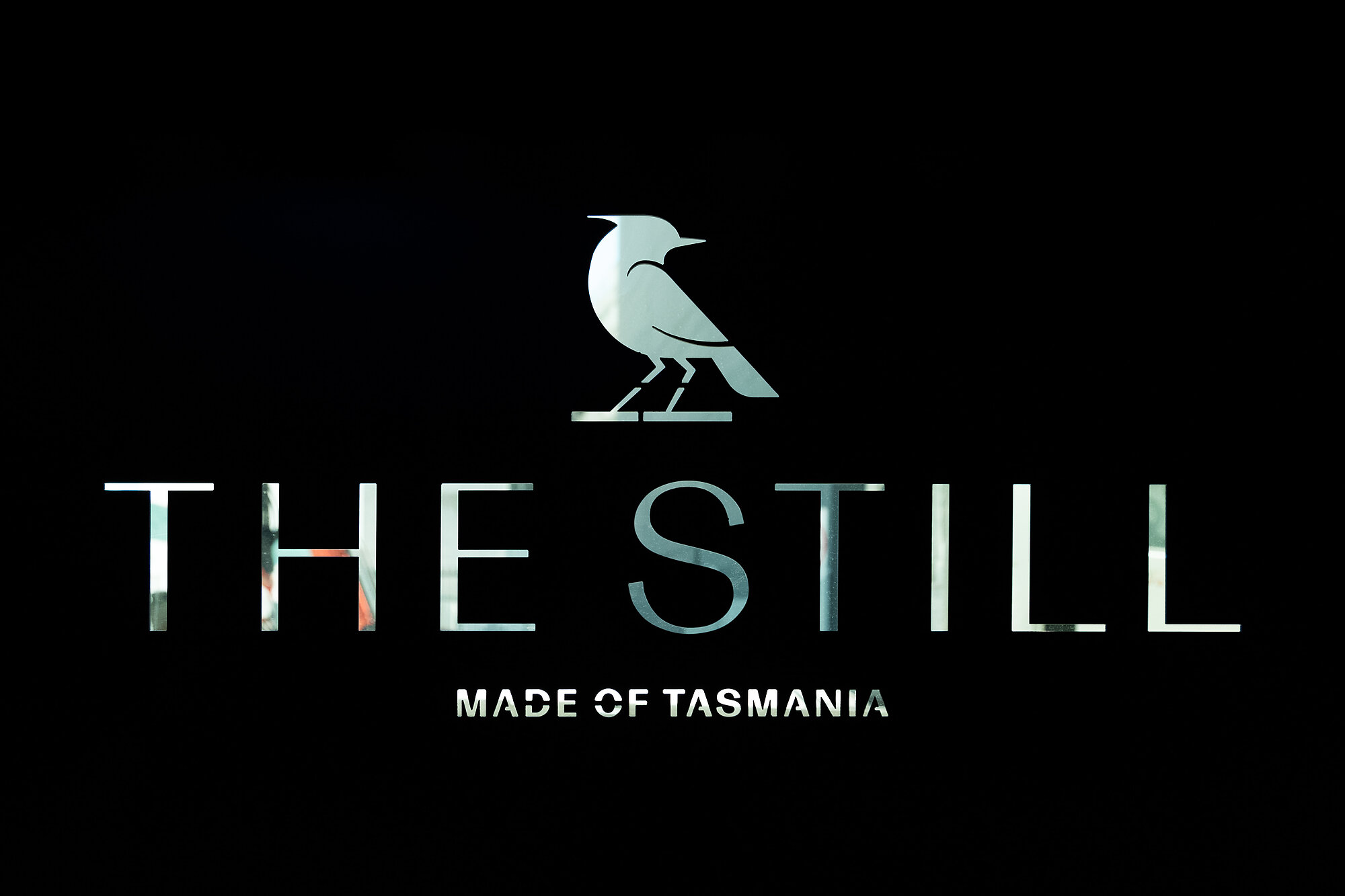 Interior photograph of The Still by Mauricio Mozo